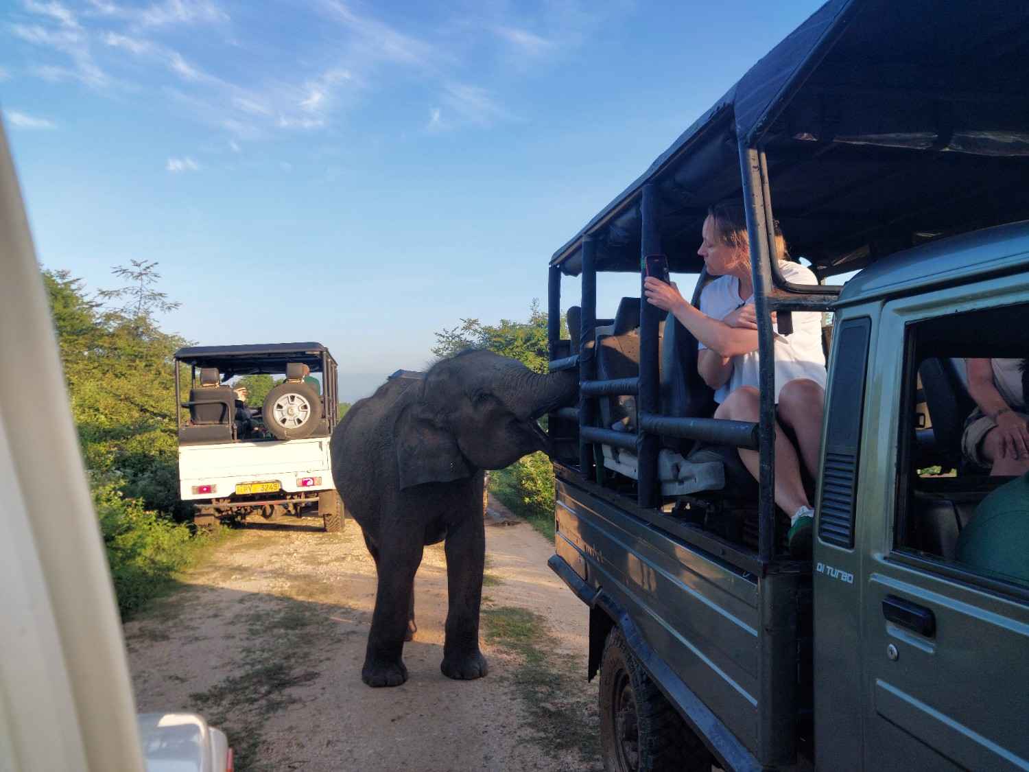 Udawalawe Safari View