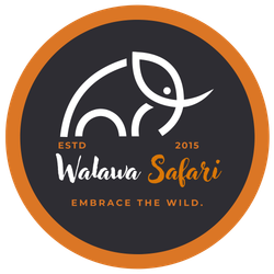 Walawa Safari