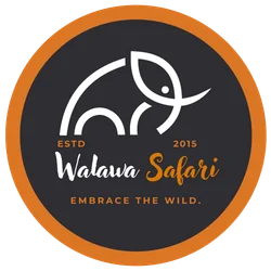 Walawa Safari