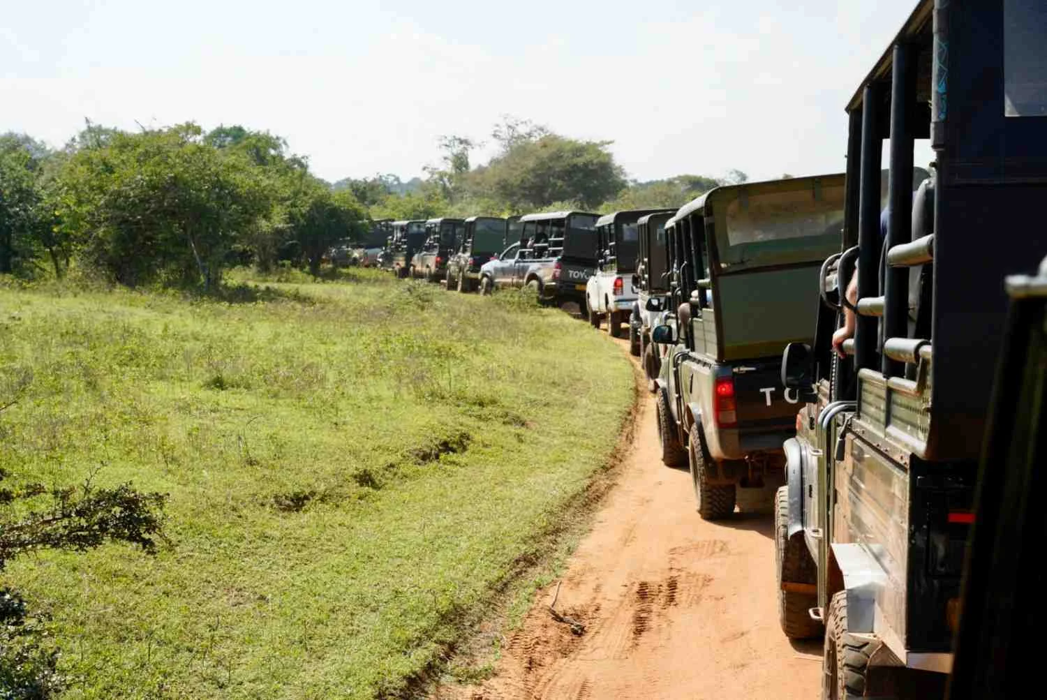 Half-Day Udawalawe National Park Safari
